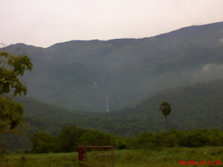 DSC01168-1